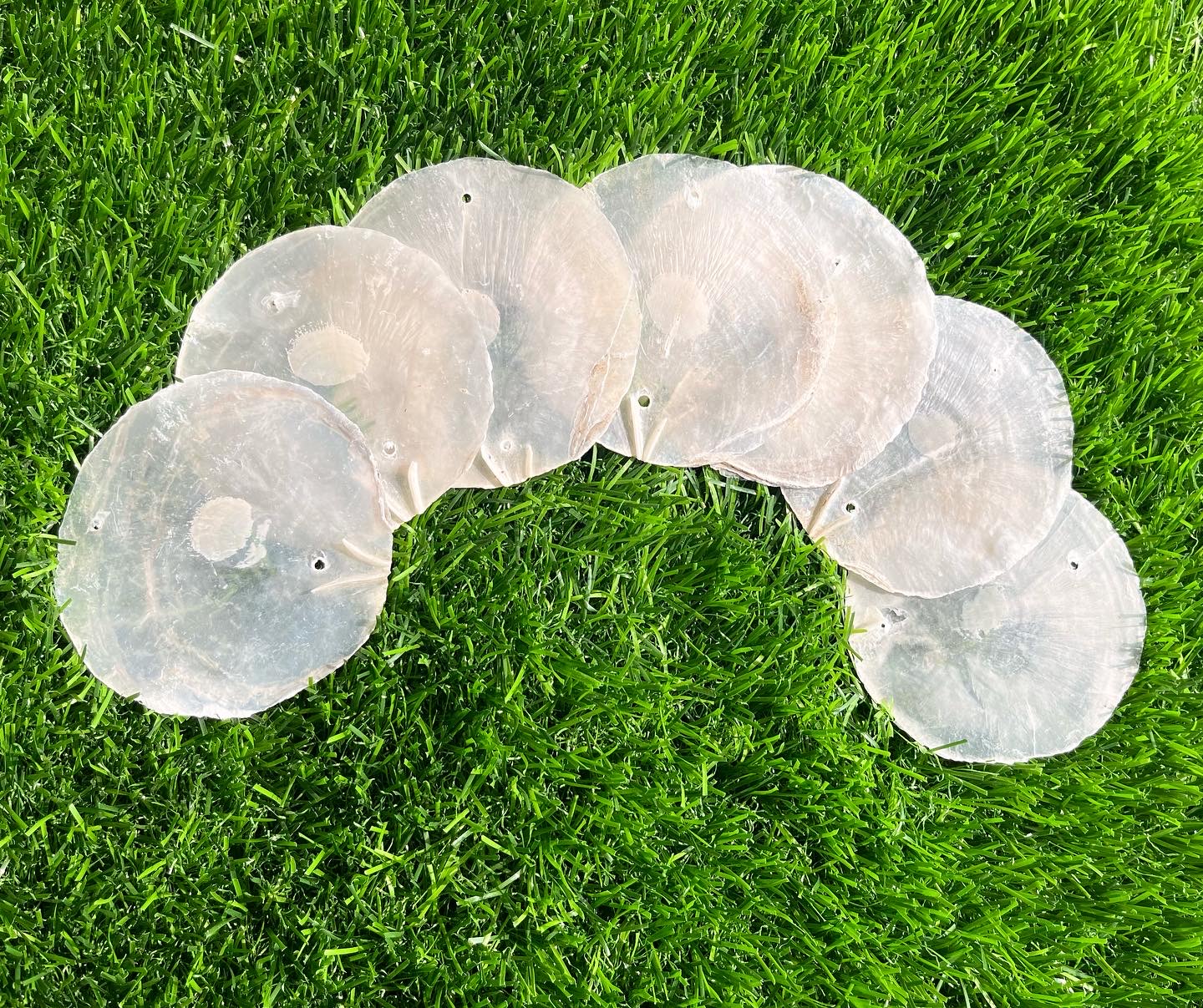 Capiz Shells – 2 inch – Indian Craft House